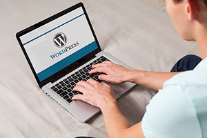 Wordpress is easy to use